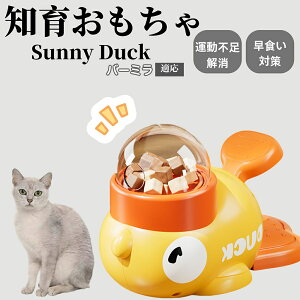 �y10�{�|�C���g�z�m�狋�a�� ���L�p �������� IQ�P�� �y�b�g�m�� ������ԑ΍� �����ŗV�ׂ�a���ߋ� ���a�� �􂦂�݌v ���Ԓׂ� �t�[�h�g�C �]�g���������� �y�b�g�p�G�T���� �o�[�~��