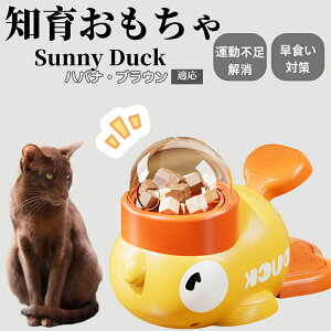 �y10�{�|�C���g�z�m�狋�a�� ���L�p �������� IQ�P�� �y�b�g�m�� ������ԑ΍� �����ŗV�ׂ�a���ߋ� ���a�� �􂦂�݌v ���Ԓׂ� �t�[�h�g�C �]�g���������� �y�b�g�p�G�T���� �n�o�i�u