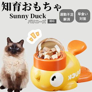 m狋a Lp  IQP ybgm ԑ΍ ŗVׂaߋ a 􂦂݌v Ԓׂ t[hgC ]g ybgpGT oj[YL oj[Y