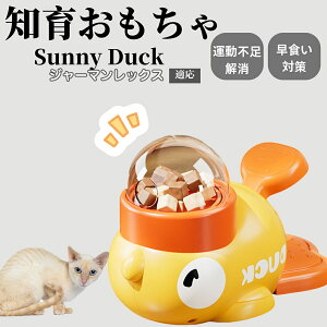 m狋a Lp  IQP ybgm ԑ΍ ŗVׂaߋ a 􂦂݌v Ԓׂ t[hgC ]g ybgpGT W[}bNXL W