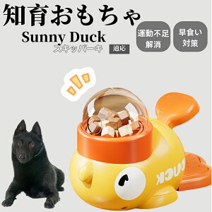 �y10�{�|�C���g�z�m�狋�a�� ���L�p �������� IQ�P�� �y�b�g�m�� ������ԑ΍� �����ŗV�ׂ�a���ߋ� ���a�� �􂦂�݌v ���Ԓׂ� �t�[�h�g�C �]�g���������� �y�b�g�p�G�T���� �X�L�b�p