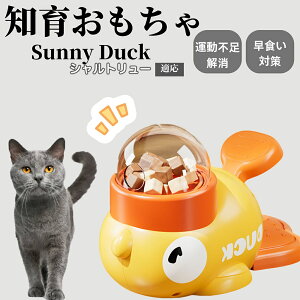 �y10�{�|�C���g�z�m�狋�a�� ���L�p �������� IQ�P�� �y�b�g�m�� ������ԑ΍� �����ŗV�ׂ�a���ߋ� ���a�� �􂦂�݌v ���Ԓׂ� �t�[�h�g�C �]�g���������� �y�b�g�p�G�T���� �V�����g