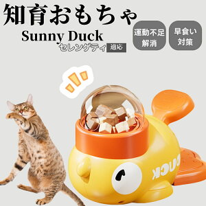 m狋a Lp  IQP ybgm ԑ΍ ŗVׂaߋ a 􂦂݌v Ԓׂ t[hgC ]g ybgpGT ZQeBL ZQ