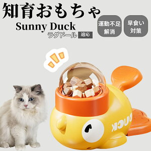 m狋a Lp  IQP ybgm ԑ΍ ŗVׂaߋ a 􂦂݌v Ԓׂ t[hgC ]g ybgpGT Oh[L O