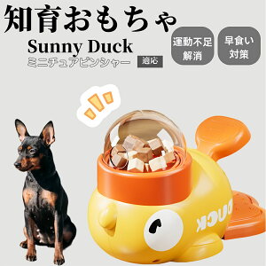 �y10�{�|�C���g�z�m�狋�a�� ���L�p �������� IQ�P�� �y�b�g�m�� ������ԑ΍� �����ŗV�ׂ�a���ߋ� ���a�� �􂦂�݌v ���Ԓׂ� �t�[�h�g�C �]�g���������� �y�b�g�p�G�T���� �~�j�`��