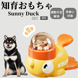 �y10�{�|�C���g�z�m�狋�a�� ���L�p �������� IQ�P�� �y�b�g�m�� ������ԑ΍� �����ŗV�ׂ�a���ߋ� ���a�� �􂦂�݌v ���Ԓׂ� �t�[�h�g�C �]�g���������� �y�b�g�p�G�T���� �Č��� ��