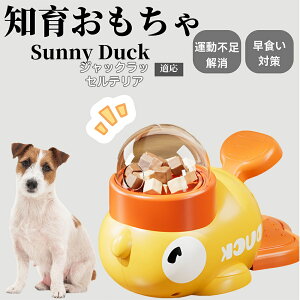 �y10�{�|�C���g�z�m�狋�a�� ���L�p �������� IQ�P�� �y�b�g�m�� ������ԑ΍� �����ŗV�ׂ�a���ߋ� ���a�� �􂦂�݌v ���Ԓׂ� �t�[�h�g�C �]�g���������� �y�b�g�p�G�T���� �W���b�N