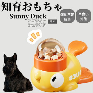 �y10�{�|�C���g�z�m�狋�a�� ���L�p �������� IQ�P�� �y�b�g�m�� ������ԑ΍� �����ŗV�ׂ�a���ߋ� ���a�� �􂦂�݌v ���Ԓׂ� �t�[�h�g�C �]�g���������� �y�b�g�p�G�T���� �X�R�e�B