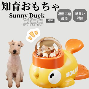 �y10�{�|�C���g�z�m�狋�a�� ���L�p �������� IQ�P�� �y�b�g�m�� ������ԑ΍� �����ŗV�ׂ�a���ߋ� ���a�� �􂦂�݌v ���Ԓׂ� �t�[�h�g�C �]�g���������� �y�b�g�p�G�T���� ���C���[