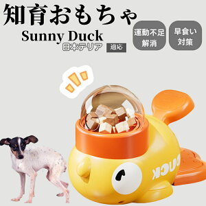 �y10�{�|�C���g�z�m�狋�a�� ���L�p �������� IQ�P�� �y�b�g�m�� ������ԑ΍� �����ŗV�ׂ�a���ߋ� ���a�� �􂦂�݌v ���Ԓׂ� �t�[�h�g�C �]�g���������� �y�b�g�p�G�T���� ���{�e��