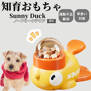 �y10�{�|�C���g�z�m�狋�a�� ���L�p �������� IQ�P�� �y�b�g�m�� ������ԑ΍� �����ŗV�ׂ�a���ߋ� ���a�� �􂦂�݌v ���Ԓׂ� �t�[�h�g�C �]�g���������� �y�b�g�p�G�T���� �m�[�t�H