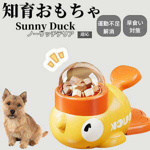 �y10�{�|�C���g�z�m�狋�a�� ���L�p �������� IQ�P�� �y�b�g�m�� ������ԑ΍� �����ŗV�ׂ�a���ߋ� ���a�� �􂦂�݌v ���Ԓׂ� �t�[�h�g�C �]�g���������� �y�b�g�p�G�T���� �m�[���b