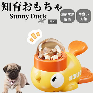 �y10�{�|�C���g�z�m�狋�a�� ���L�p �������� IQ�P�� �y�b�g�m�� ������ԑ΍� �����ŗV�ׂ�a���ߋ� ���a�� �􂦂�݌v ���Ԓׂ� �t�[�h�g�C �]�g���������� �y�b�g�p�G�T���� �p�O���� 