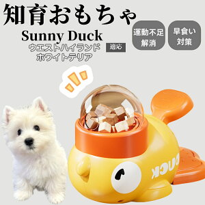 �y10�{�|�C���g�z�m�狋�a�� ���L�p �������� IQ�P�� �y�b�g�m�� ������ԑ΍� �����ŗV�ׂ�a���ߋ� ���a�� �􂦂�݌v ���Ԓׂ� �t�[�h�g�C �]�g���������� �y�b�g�p�G�T���� �E�G�X�g