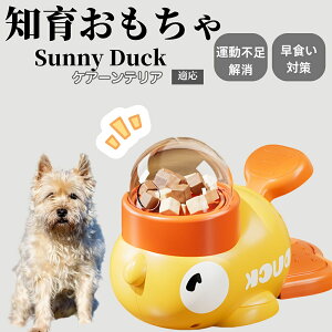 �y10�{�|�C���g�z�m�狋�a�� ���L�p �������� IQ�P�� �y�b�g�m�� ������ԑ΍� �����ŗV�ׂ�a���ߋ� ���a�� �􂦂�݌v ���Ԓׂ� �t�[�h�g�C �]�g���������� �y�b�g�p�G�T���� �P�A�[��