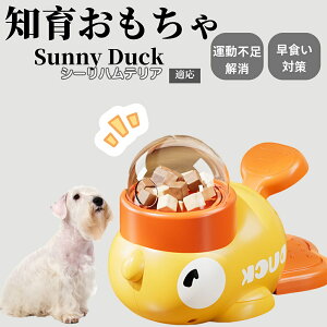 �y10�{�|�C���g�z�m�狋�a�� ���L�p �������� IQ�P�� �y�b�g�m�� ������ԑ΍� �����ŗV�ׂ�a���ߋ� ���a�� �􂦂�݌v ���Ԓׂ� �t�[�h�g�C �]�g���������� �y�b�g�p�G�T���� �V�[���n