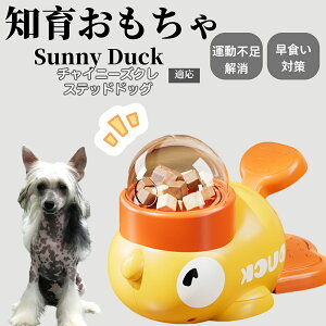 �y10�{�|�C���g�z�m�狋�a�� ���L�p �������� IQ�P�� �y�b�g�m�� ������ԑ΍� �����ŗV�ׂ�a���ߋ� ���a�� �􂦂�݌v ���Ԓׂ� �t�[�h�g�C �]�g���������� �y�b�g�p�G�T���� �`���C�j