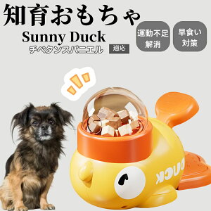 �y10�{�|�C���g�z�m�狋�a�� ���L�p �������� IQ�P�� �y�b�g�m�� ������ԑ΍� �����ŗV�ׂ�a���ߋ� ���a�� �􂦂�݌v ���Ԓׂ� �t�[�h�g�C �]�g���������� �y�b�g�p�G�T���� �`�x�^��