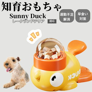 �y10�{�|�C���g�z�m�狋�a�� ���L�p �������� IQ�P�� �y�b�g�m�� ������ԑ΍� �����ŗV�ׂ�a���ߋ� ���a�� �􂦂�݌v ���Ԓׂ� �t�[�h�g�C �]�g���������� �y�b�g�p�G�T���� ���[�N��