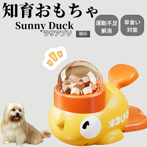 �y10�{�|�C���g�z�m�狋�a�� ���L�p �������� IQ�P�� �y�b�g�m�� ������ԑ΍� �����ŗV�ׂ�a���ߋ� ���a�� �􂦂�݌v ���Ԓׂ� �t�[�h�g�C �]�g���������� �y�b�g�p�G�T���� ���T�A�v