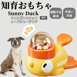 �y10�{�|�C���g�z�m�狋�a�� ���L�p �������� IQ�P�� �y�b�g�m�� ������ԑ΍� �����ŗV�ׂ�a���ߋ� ���a�� �􂦂�݌v ���Ԓׂ� �t�[�h�g�C �]�g���������� �y�b�g�p�G�T���� �A�����J