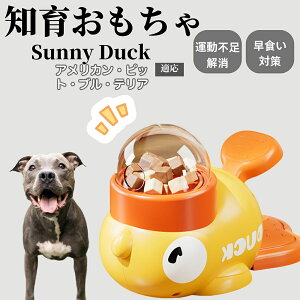 �y10�{�|�C���g�z�m�狋�a�� ���L�p �������� IQ�P�� �y�b�g�m�� ������ԑ΍� �����ŗV�ׂ�a���ߋ� ���a�� �􂦂�݌v ���Ԓׂ� �t�[�h�g�C �]�g���������� �y�b�g�p�G�T���� �A�����J