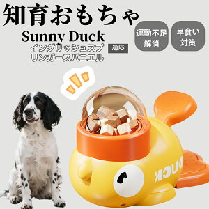 �y10�{�|�C���g�z�m�狋�a�� ���L�p �������� IQ�P�� �y�b�g�m�� ������ԑ΍� �����ŗV�ׂ�a���ߋ� ���a�� �􂦂�݌v ���Ԓׂ� �t�[�h�g�C �]�g���������� �y�b�g�p�G�T���� �C���O��