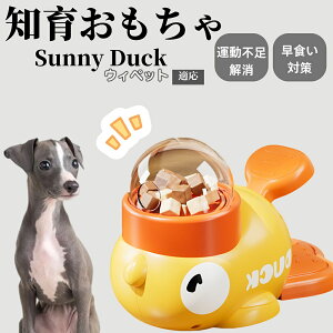 �y10�{�|�C���g�z�m�狋�a�� ���L�p �������� IQ�P�� �y�b�g�m�� ������ԑ΍� �����ŗV�ׂ�a���ߋ� ���a�� �􂦂�݌v ���Ԓׂ� �t�[�h�g�C �]�g���������� �y�b�g�p�G�T���� �E�B�y�b