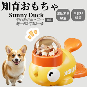 �y10�{�|�C���g�z�m�狋�a�� ���L�p �������� IQ�P�� �y�b�g�m�� ������ԑ΍� �����ŗV�ׂ�a���ߋ� ���a�� �􂦂�݌v ���Ԓׂ� �t�[�h�g�C �]�g���������� �y�b�g�p�G�T���� �E�F���V