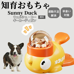 �y10�{�|�C���g�z�m�狋�a�� ���L�p �������� IQ�P�� �y�b�g�m�� ������ԑ΍� �����ŗV�ׂ�a���ߋ� ���a�� �􂦂�݌v ���Ԓׂ� �t�[�h�g�C �]�g���������� �y�b�g�p�G�T���� �E�F���V