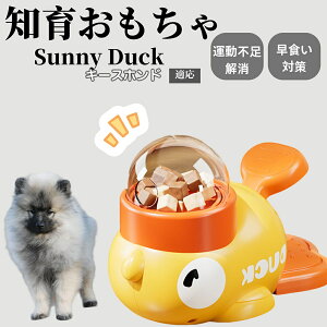 �y10�{�|�C���g�z�m�狋�a�� ���L�p �������� IQ�P�� �y�b�g�m�� ������ԑ΍� �����ŗV�ׂ�a���ߋ� ���a�� �􂦂�݌v ���Ԓׂ� �t�[�h�g�C �]�g���������� �y�b�g�p�G�T���� �L�[�X�z