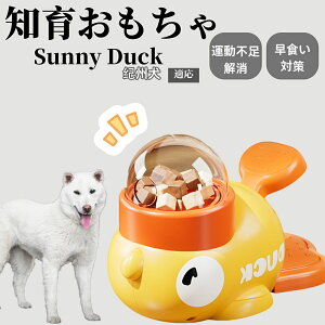 �y10�{�|�C���g�z�m�狋�a�� ���L�p �������� IQ�P�� �y�b�g�m�� ������ԑ΍� �����ŗV�ׂ�a���ߋ� ���a�� �􂦂�݌v ���Ԓׂ� �t�[�h�g�C �]�g���������� �y�b�g�p�G�T���� �I�B���� 