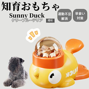 �y10�{�|�C���g�z�m�狋�a�� ���L�p �������� IQ�P�� �y�b�g�m�� ������ԑ΍� �����ŗV�ׂ�a���ߋ� ���a�� �􂦂�݌v ���Ԓׂ� �t�[�h�g�C �]�g���������� �y�b�g�p�G�T���� �P���[�u