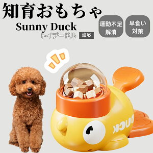 �y10�{�|�C���g�z�m�狋�a�� ���L�p �������� IQ�P�� �y�b�g�m�� ������ԑ΍� �����ŗV�ׂ�a���ߋ� ���a�� �􂦂�݌v ���Ԓׂ� �t�[�h�g�C �]�g���������� �y�b�g�p�G�T���� �g�C�v�[