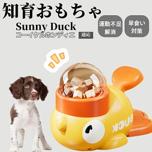 �y10�{�|�C���g�z�m�狋�a�� ���L�p �������� IQ�P�� �y�b�g�m�� ������ԑ΍� �����ŗV�ׂ�a���ߋ� ���a�� �􂦂�݌v ���Ԓׂ� �t�[�h�g�C �]�g���������� �y�b�g�p�G�T���� �R�[�C�P