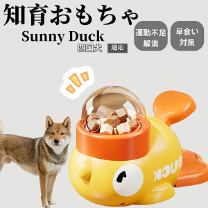 �y10�{�|�C���g�z�m�狋�a�� ���L�p �������� IQ�P�� �y�b�g�m�� ������ԑ΍� �����ŗV�ׂ�a���ߋ� ���a�� �􂦂�݌v ���Ԓׂ� �t�[�h�g�C �]�g���������� �y�b�g�p�G�T���� �l������ 