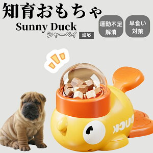 �y10�{�|�C���g�z�m�狋�a�� ���L�p �������� IQ�P�� �y�b�g�m�� ������ԑ΍� �����ŗV�ׂ�a���ߋ� ���a�� �􂦂�݌v ���Ԓׂ� �t�[�h�g�C �]�g���������� �y�b�g�p�G�T���� �V���[�y