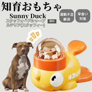 �y10�{�|�C���g�z�m�狋�a�� ���L�p �������� IQ�P�� �y�b�g�m�� ������ԑ΍� �����ŗV�ׂ�a���ߋ� ���a�� �􂦂�݌v ���Ԓׂ� �t�[�h�g�C �]�g���������� �y�b�g�p�G�T���� �X�^�b�t