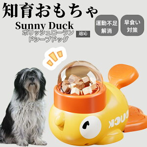 �y10�{�|�C���g�z�m�狋�a�� ���L�p �������� IQ�P�� �y�b�g�m�� ������ԑ΍� �����ŗV�ׂ�a���ߋ� ���a�� �􂦂�݌v ���Ԓׂ� �t�[�h�g�C �]�g���������� �y�b�g�p�G�T���� �|���b�V