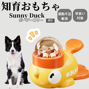 �y10�{�|�C���g�z�m�狋�a�� ���L�p �������� IQ�P�� �y�b�g�m�� ������ԑ΍� �����ŗV�ׂ�a���ߋ� ���a�� �􂦂�݌v ���Ԓׂ� �t�[�h�g�C �]�g���������� �y�b�g�p�G�T���� �{�[�_�[