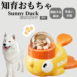 �y10�{�|�C���g�z�m�狋�a�� ���L�p �������� IQ�P�� �y�b�g�m�� ������ԑ΍� �����ŗV�ׂ�a���ߋ� ���a�� �􂦂�݌v ���Ԓׂ� �t�[�h�g�C �]�g���������� �y�b�g�p�G�T���� ���{�X�s