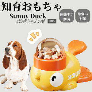 �y10�{�|�C���g�z�m�狋�a�� ���L�p �������� IQ�P�� �y�b�g�m�� ������ԑ΍� �����ŗV�ׂ�a���ߋ� ���a�� �􂦂�݌v ���Ԓׂ� �t�[�h�g�C �]�g���������� �y�b�g�p�G�T���� �o�Z�b�g