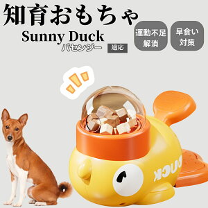 �y10�{�|�C���g�z�m�狋�a�� ���L�p �������� IQ�P�� �y�b�g�m�� ������ԑ΍� �����ŗV�ׂ�a���ߋ� ���a�� �􂦂�݌v ���Ԓׂ� �t�[�h�g�C �]�g���������� �y�b�g�p�G�T���� �o�Z���W