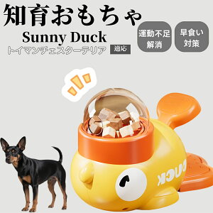 �y10�{�|�C���g�z�m�狋�a�� ���L�p �������� IQ�P�� �y�b�g�m�� ������ԑ΍� �����ŗV�ׂ�a���ߋ� ���a�� �􂦂�݌v ���Ԓׂ� �t�[�h�g�C �]�g���������� �y�b�g�p�G�T���� �g�C�}��