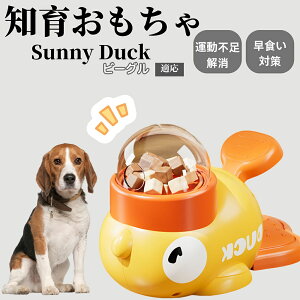 �y10�{�|�C���g�z�m�狋�a�� ���L�p �������� IQ�P�� �y�b�g�m�� ������ԑ΍� �����ŗV�ׂ�a���ߋ� ���a�� �􂦂�݌v ���Ԓׂ� �t�[�h�g�C �]�g���������� �y�b�g�p�G�T���� �r�[�O��