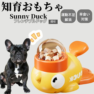 �y10�{�|�C���g�z�m�狋�a�� ���L�p �������� IQ�P�� �y�b�g�m�� ������ԑ΍� �����ŗV�ׂ�a���ߋ� ���a�� �􂦂�݌v ���Ԓׂ� �t�[�h�g�C �]�g���������� �y�b�g�p�G�T���� �t�����`