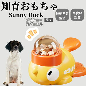 �y10�{�|�C���g�z�m�狋�a�� ���L�p �������� IQ�P�� �y�b�g�m�� ������ԑ΍� �����ŗV�ׂ�a���ߋ� ���a�� �􂦂�݌v ���Ԓׂ� �t�[�h�g�C �]�g���������� �y�b�g�p�G�T���� �u���^�j