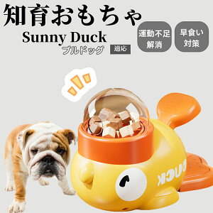 �y10�{�|�C���g�z�m�狋�a�� ���L�p �������� IQ�P�� �y�b�g�m�� ������ԑ΍� �����ŗV�ׂ�a���ߋ� ���a�� �􂦂�݌v ���Ԓׂ� �t�[�h�g�C �]�g���������� �y�b�g�p�G�T���� �u���h�b