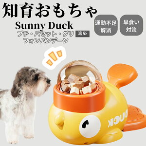 �y10�{�|�C���g�z�m�狋�a�� ���L�p �������� IQ�P�� �y�b�g�m�� ������ԑ΍� �����ŗV�ׂ�a���ߋ� ���a�� �􂦂�݌v ���Ԓׂ� �t�[�h�g�C �]�g���������� �y�b�g�p�G�T���� �v�`�o�Z