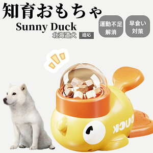 �y10�{�|�C���g�z�m�狋�a�� ���L�p �������� IQ�P�� �y�b�g�m�� ������ԑ΍� �����ŗV�ׂ�a���ߋ� ���a�� �􂦂�݌v ���Ԓׂ� �t�[�h�g�C �]�g���������� �y�b�g�p�G�T���� �k�C����